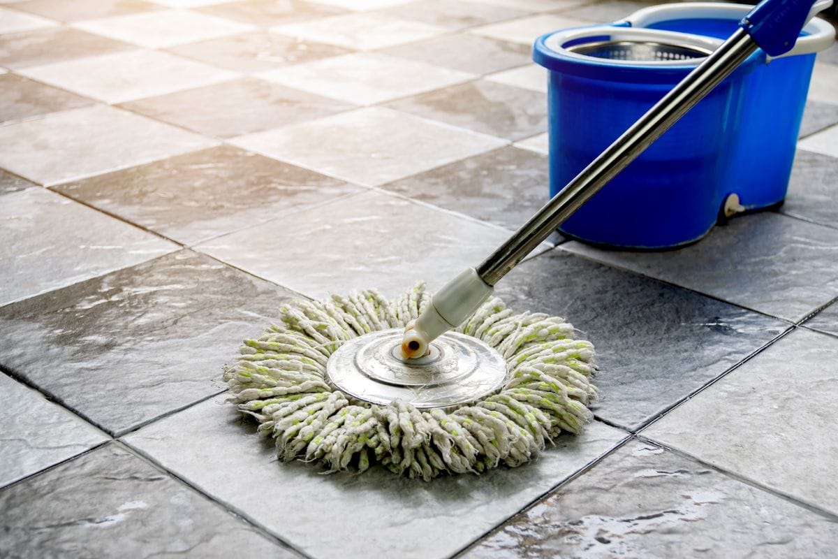 Damp Mop