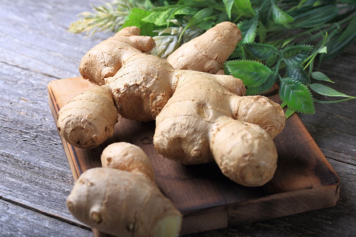 Ginger