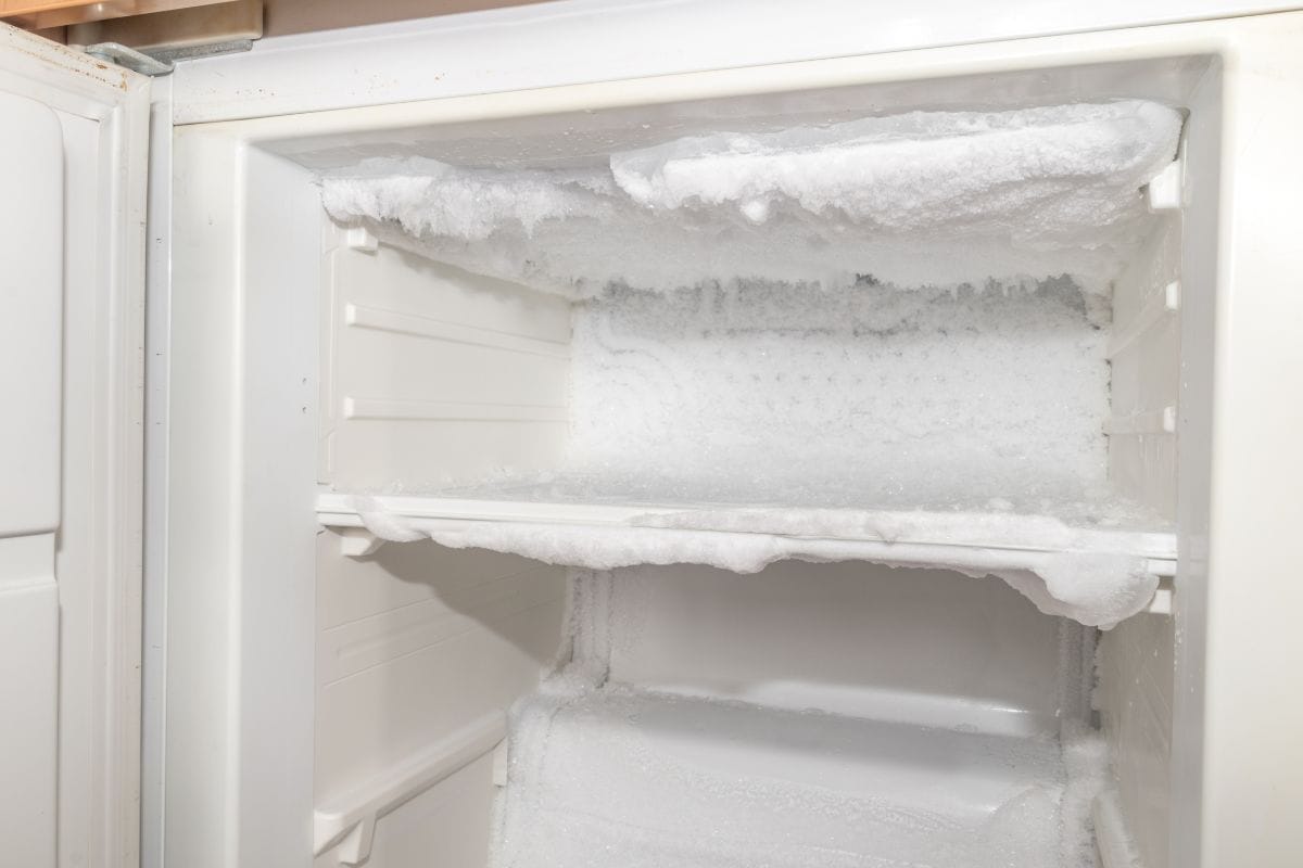 Inspect The Defrost Drain