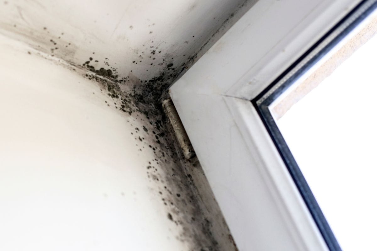 Mold and moisture stains are visible