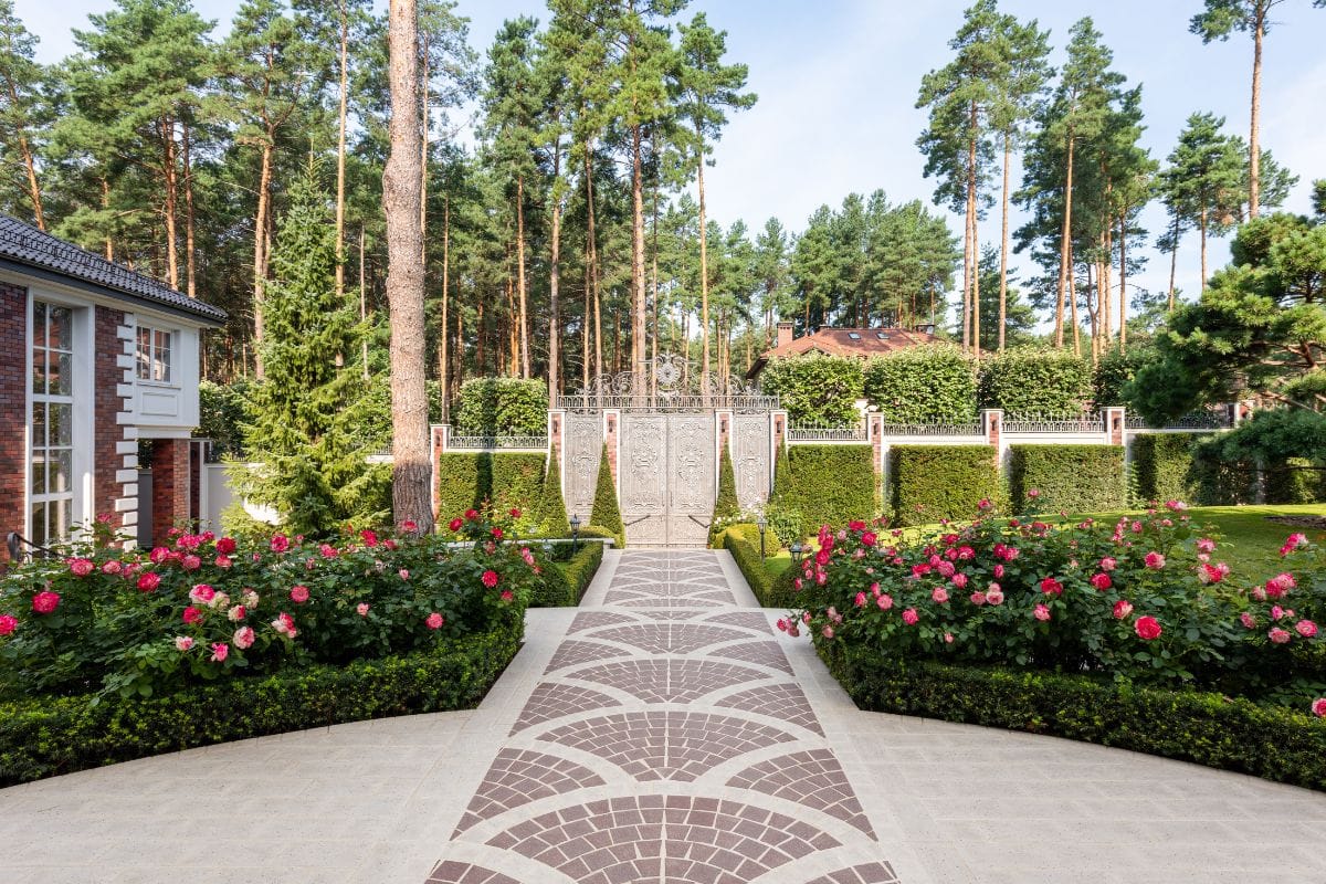 Paths