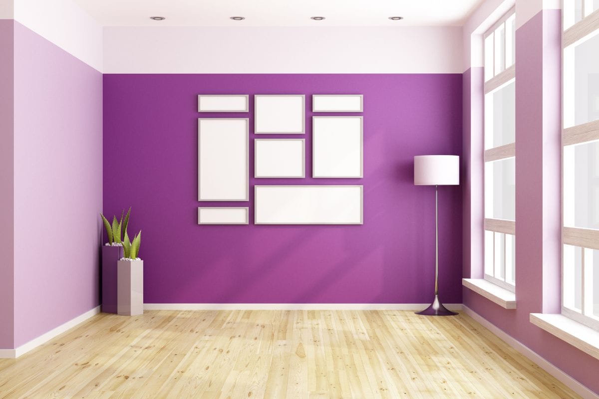 Purple Color
