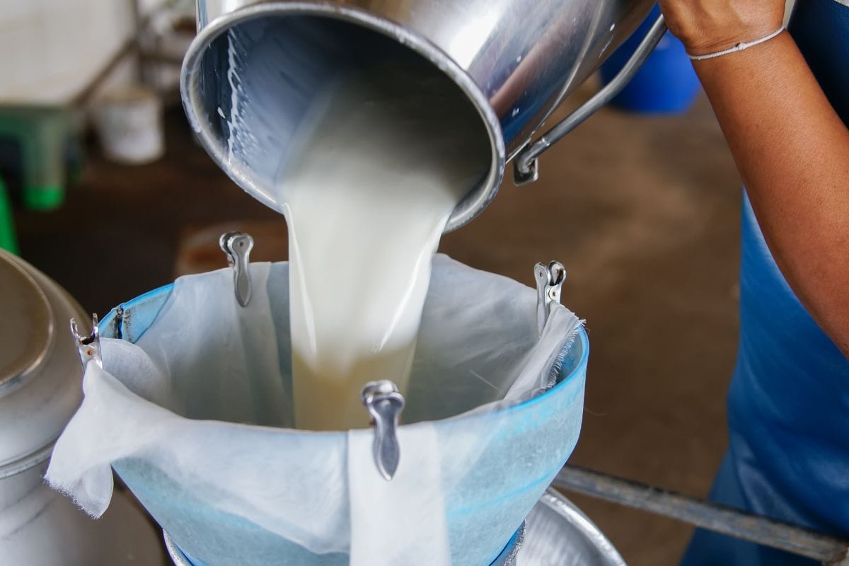 Raw Milk