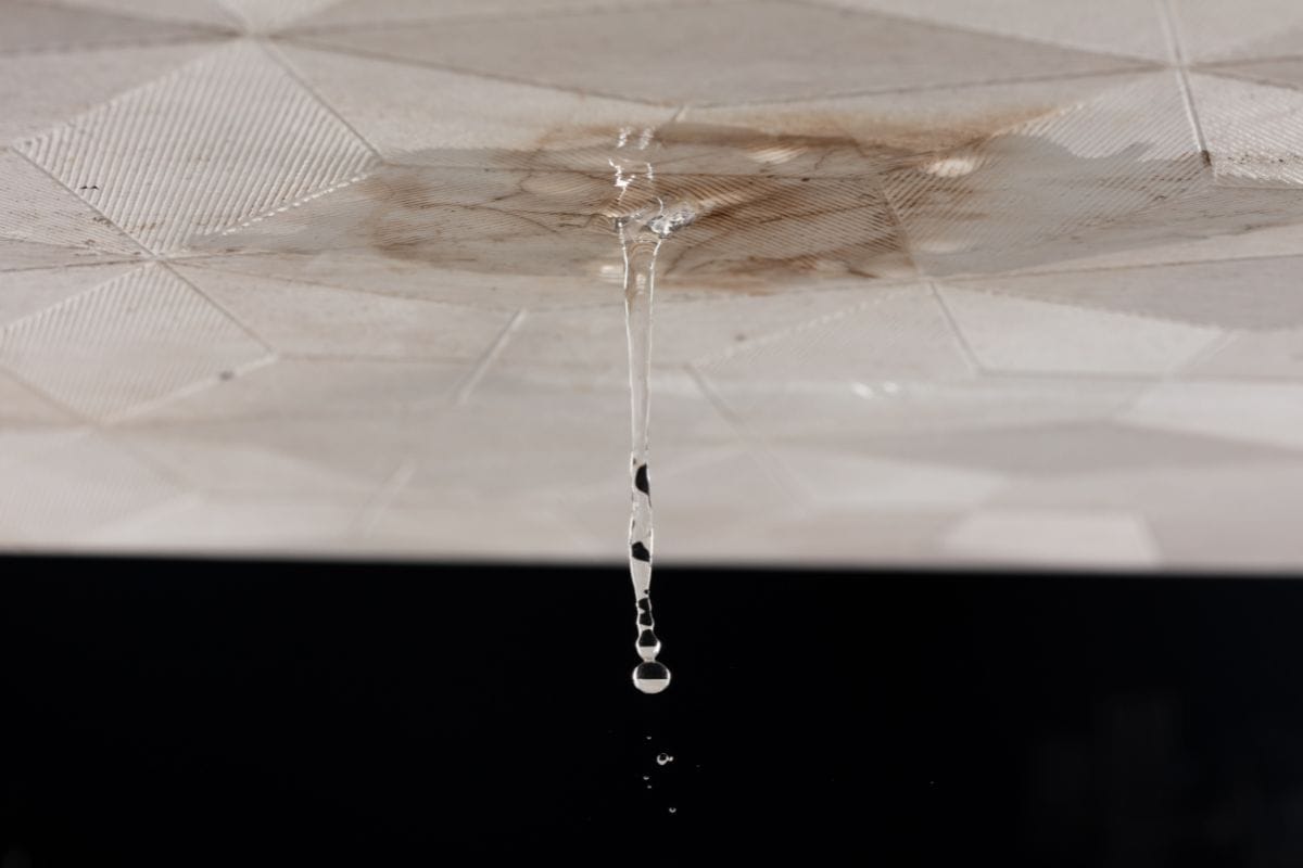 Repair Leaks