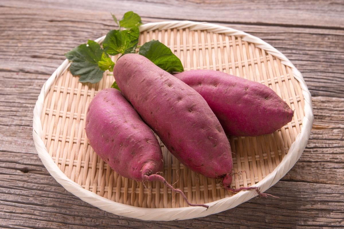 Sweet Potato