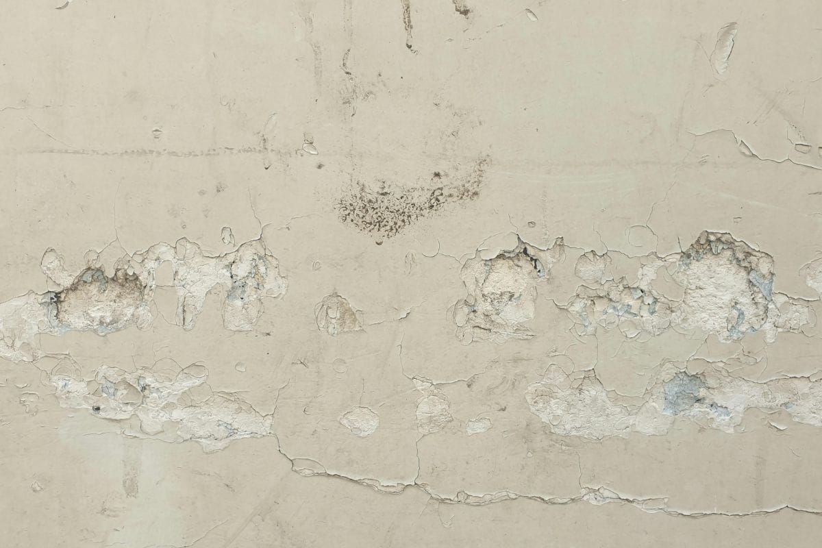 The paint is peeling off or bubbling