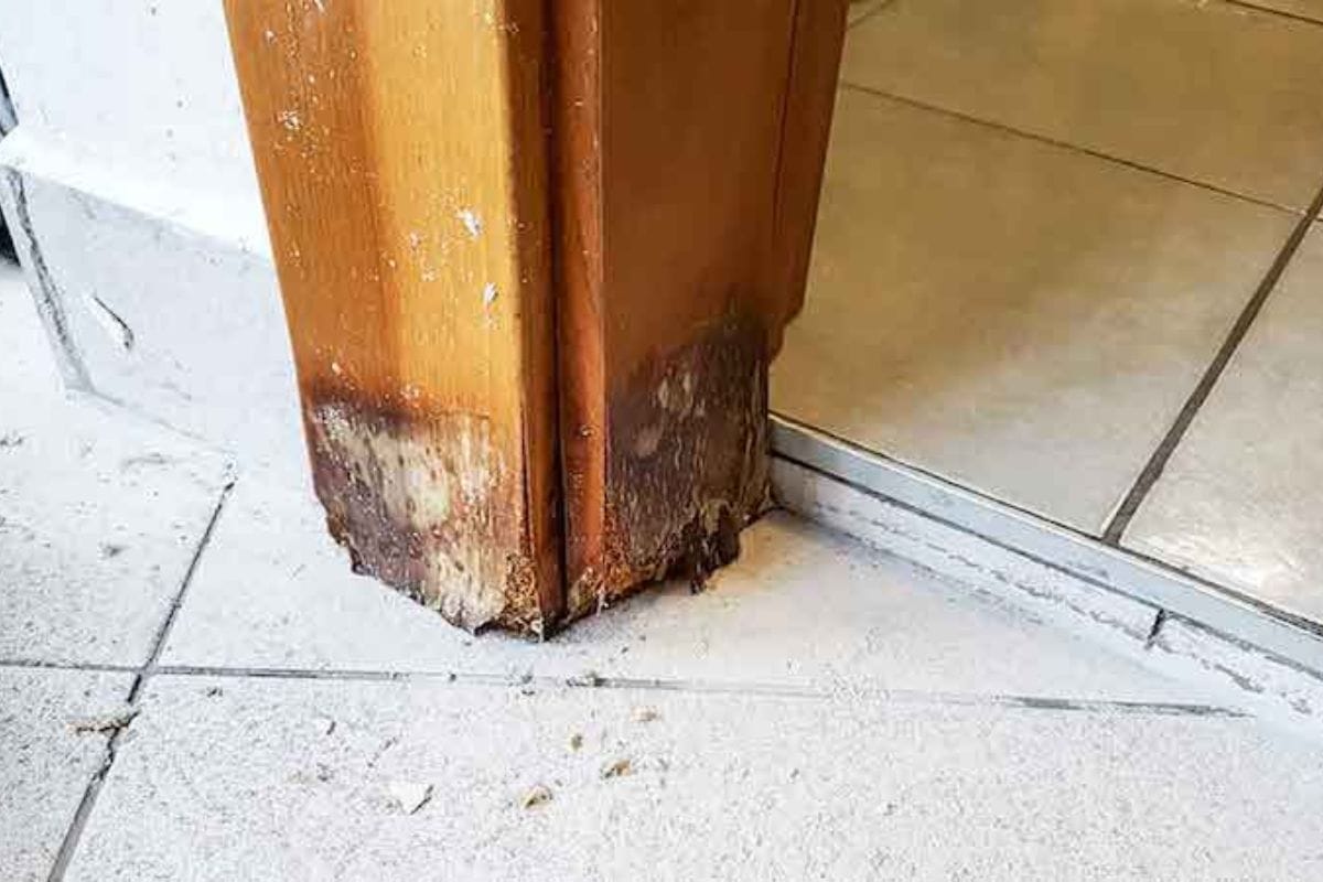 The woodwork is rotting