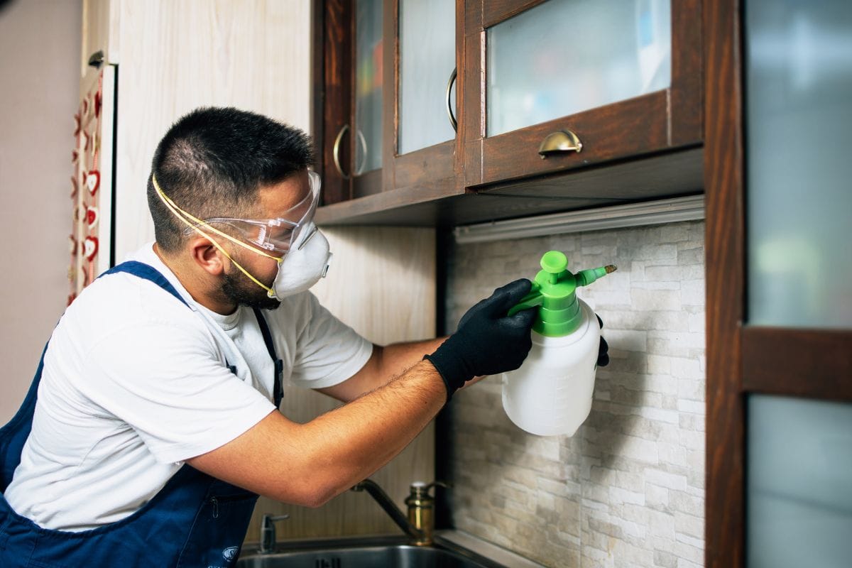 Types of Pests and Their Various Controlling Methods
