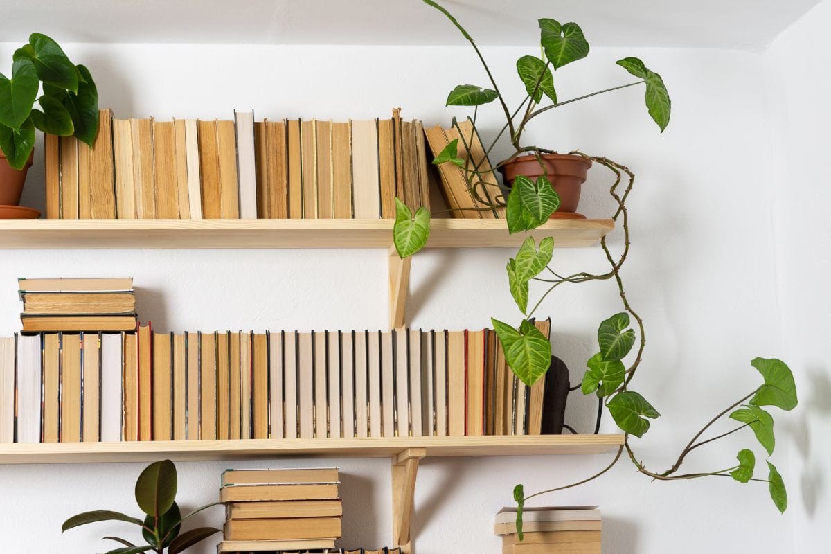 Your Bookshelves