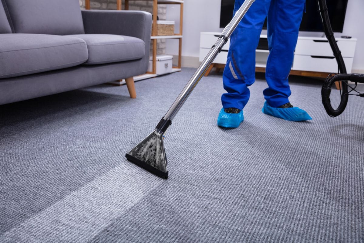 Your Carpet/ Mattress
