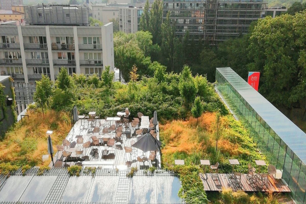 Rooftop farming a great idea