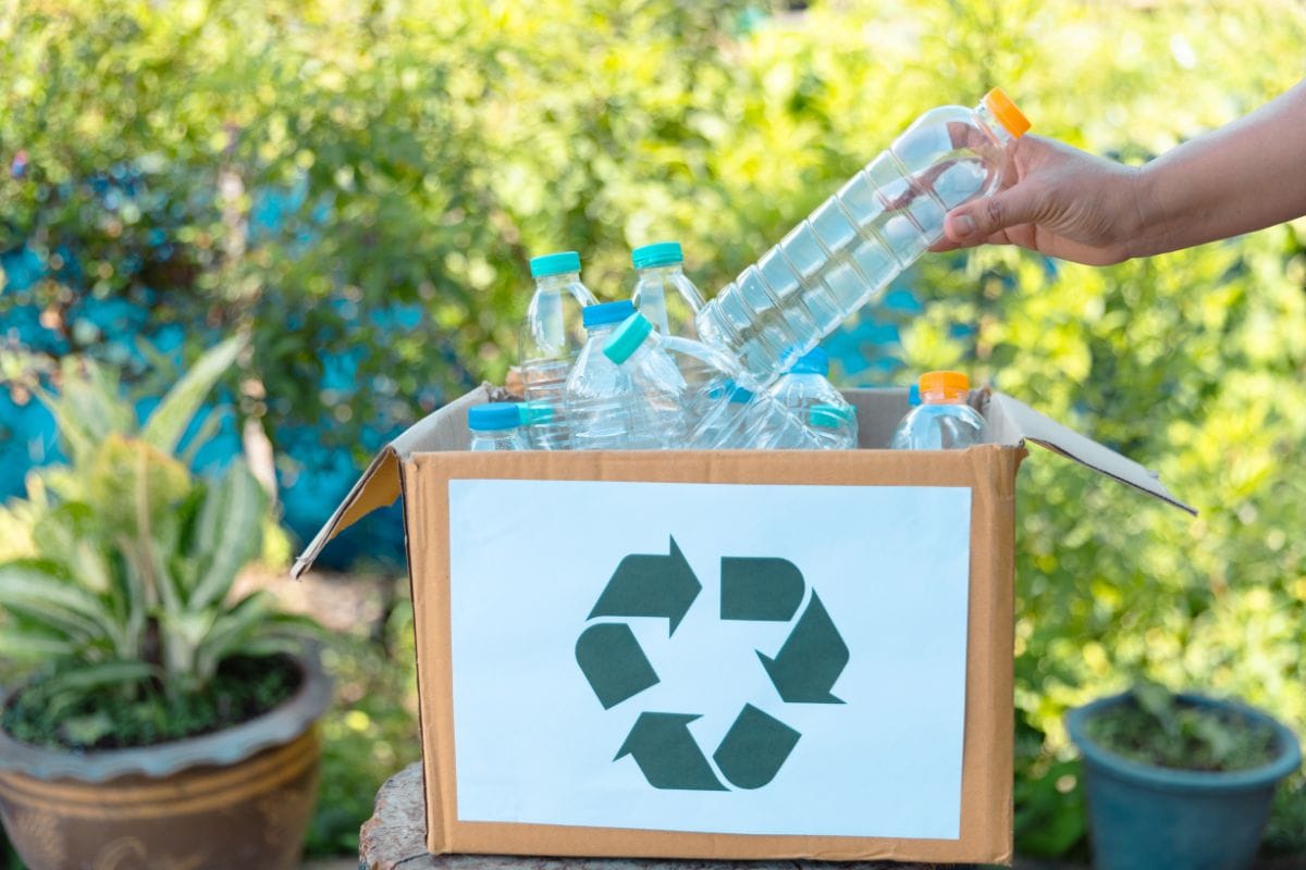 The rules of recycling.
