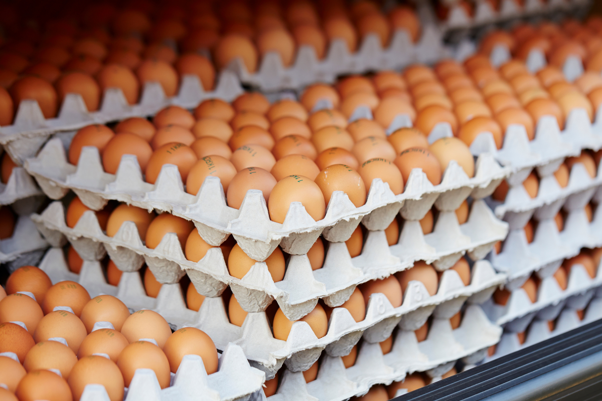 Eggs