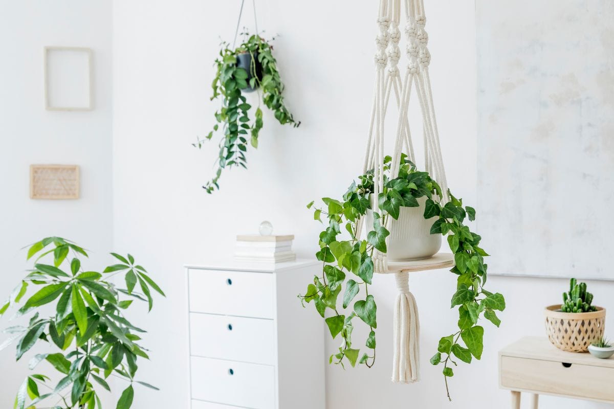 Hanging Planter Shelf