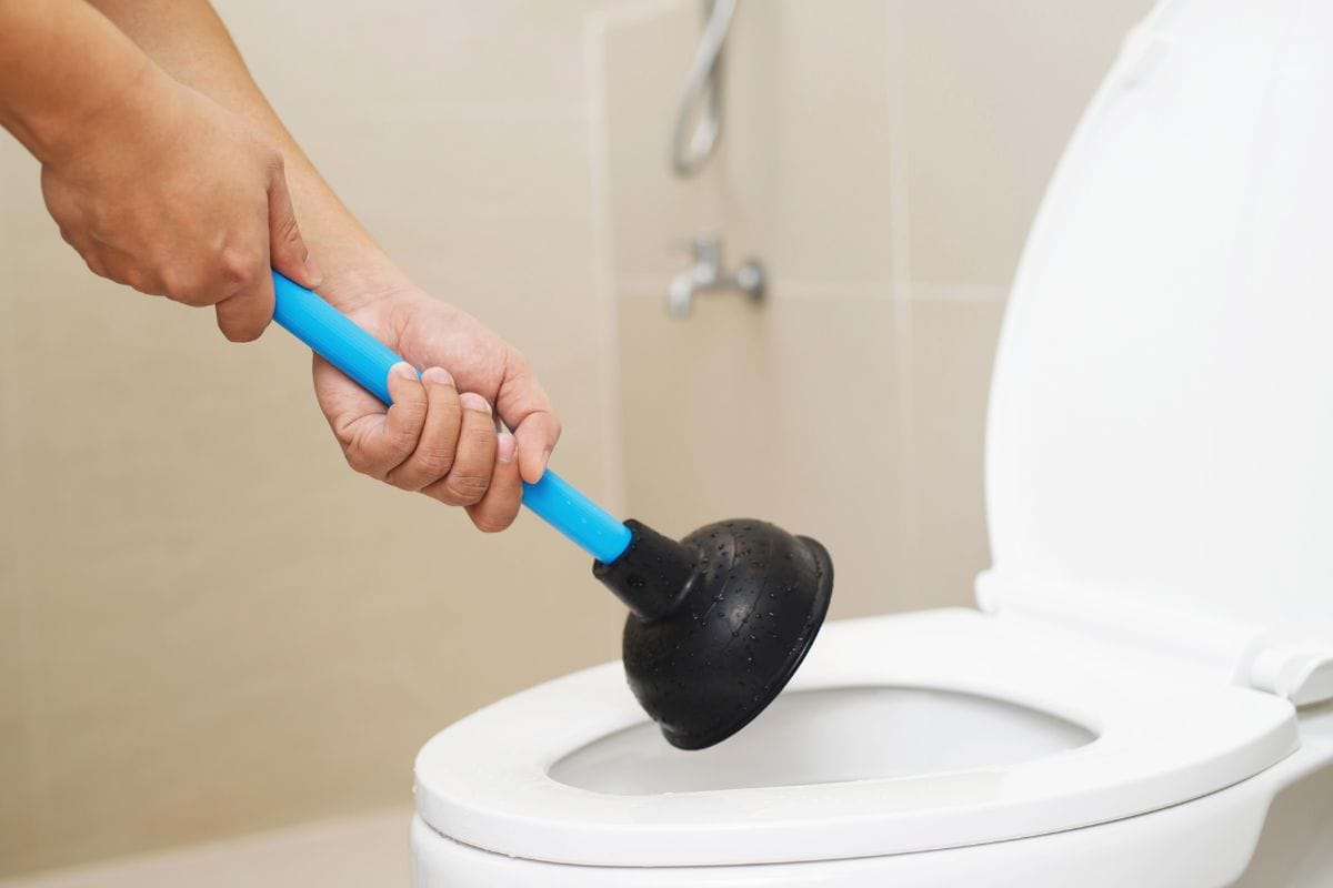 Toilet plunger