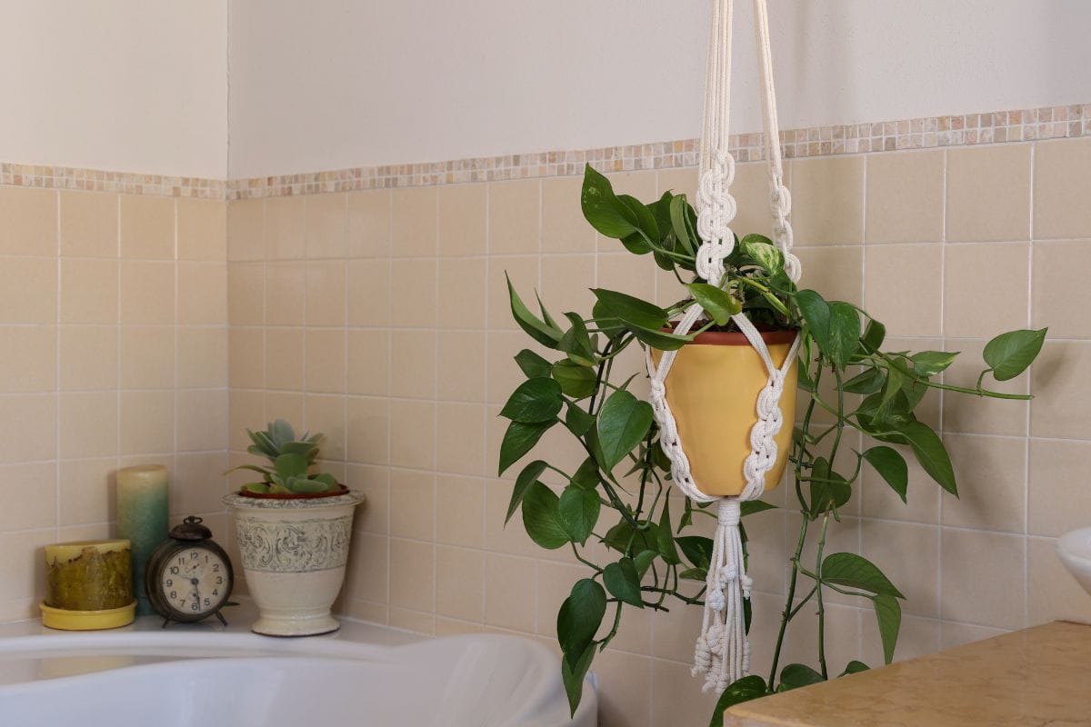 Vertical Plant Hanger