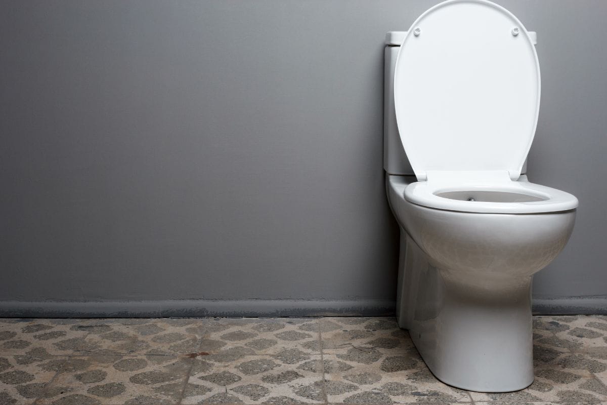 Common Toilet