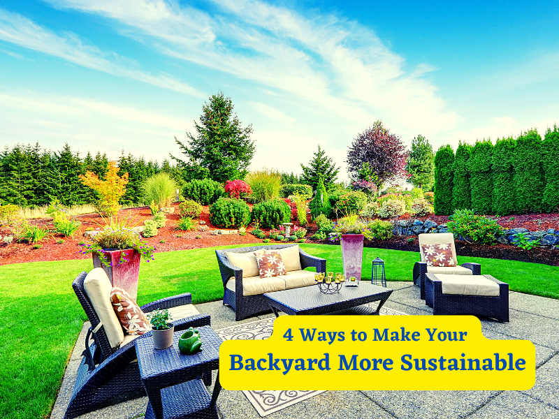 4 Ways to Make Your Backyard More Sustainable