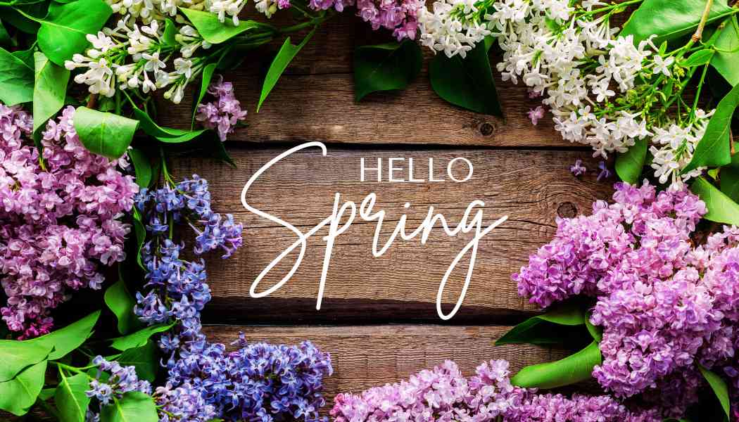 5 Basic Tips: How to decorate your Home for Spring!
