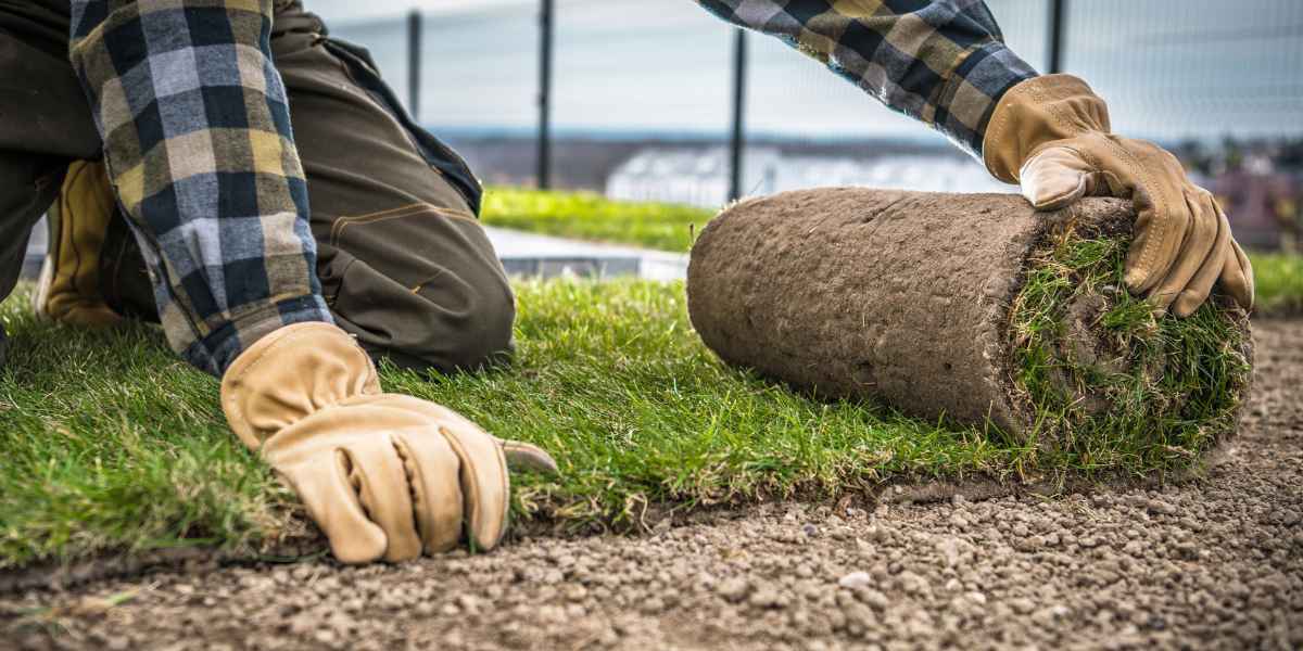 How To Naturally Get Rid Of Weeds Without Harming Your Garden