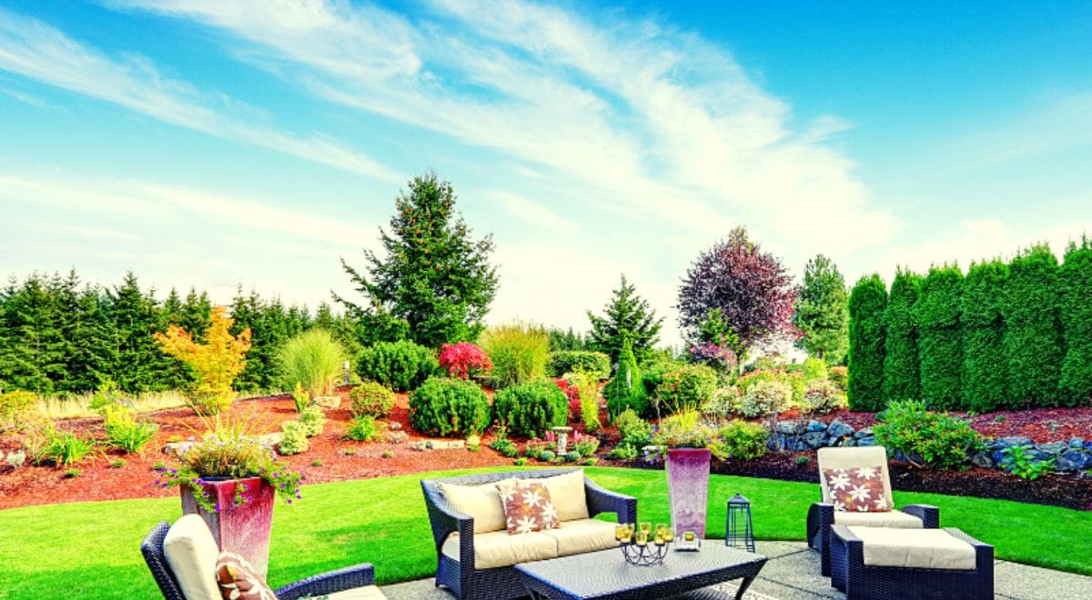 4 Ways to Make Your Backyard More Sustainable