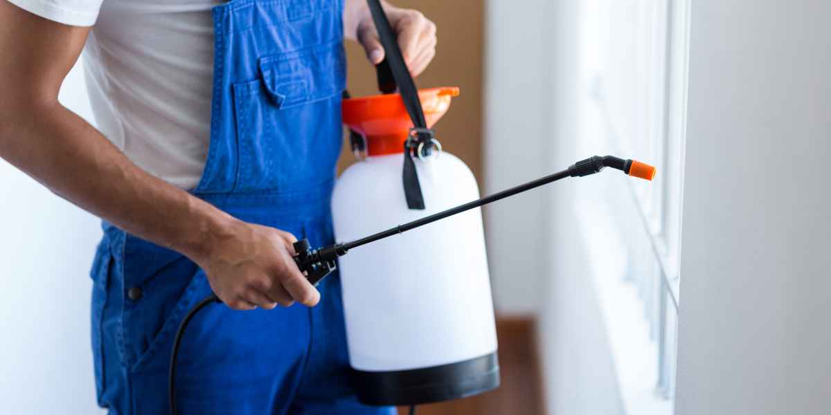 Pest Control Solutions for Small Businesses on a Budget