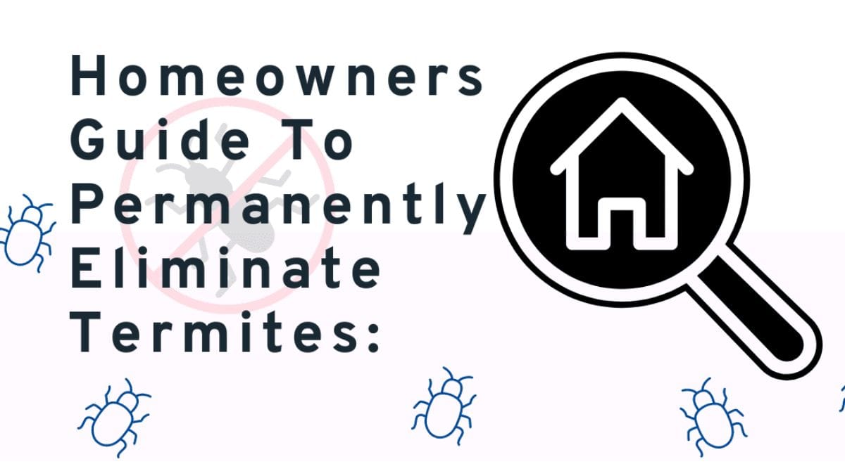 Homeowners' Guide to Permanently Eliminate Termites