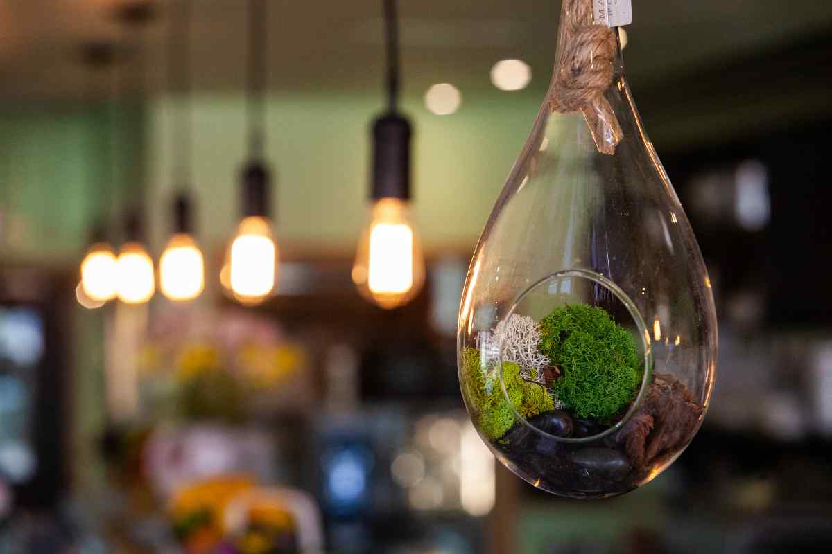 Eco-friendly Lighting: Uncovering Green Solutions