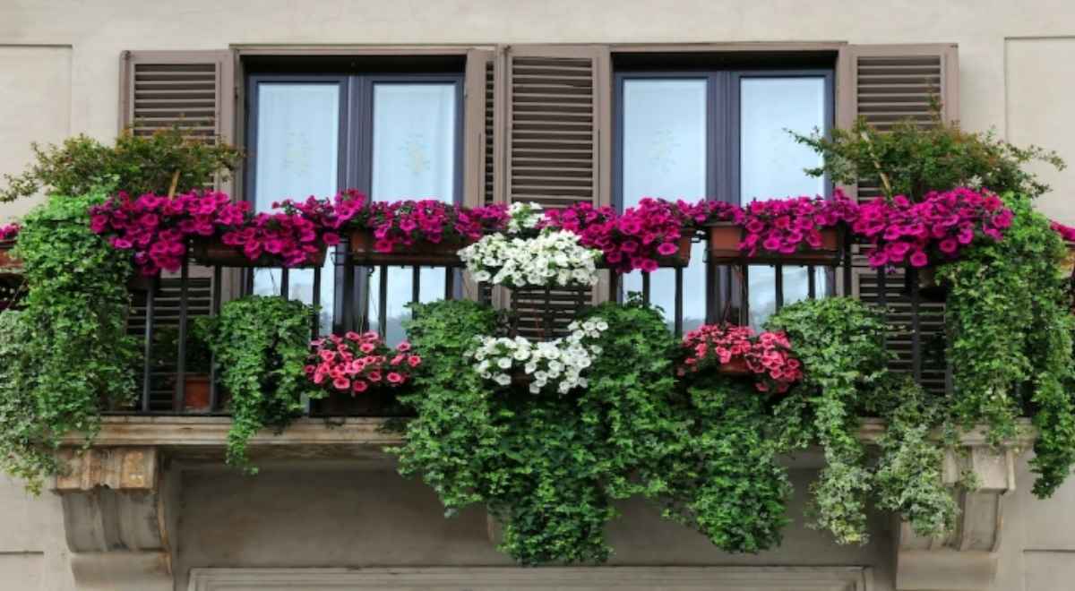 HomeTriangle Guides: The Best Plants To Grow On Your Home's Balcony