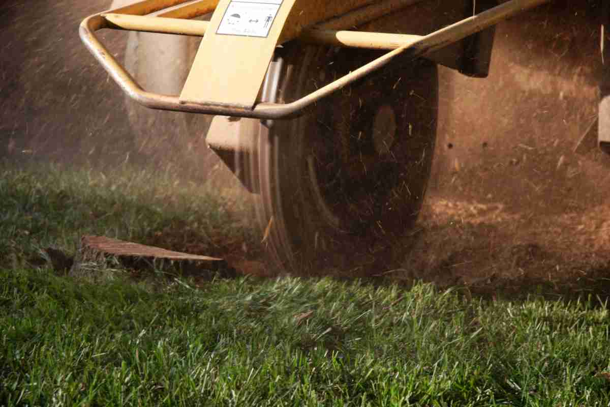 Reasons Why You Need a Stump Grinder for Your Yard Maintenance