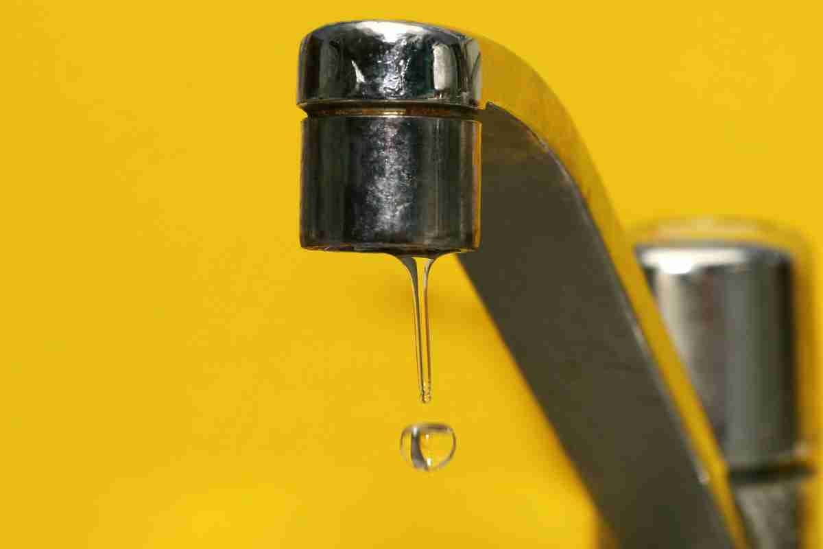 Is Your Sink Disposal Leaking? Here's What You Need to Know!