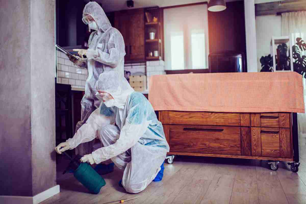 Guide to Prepare For Pest Control Services