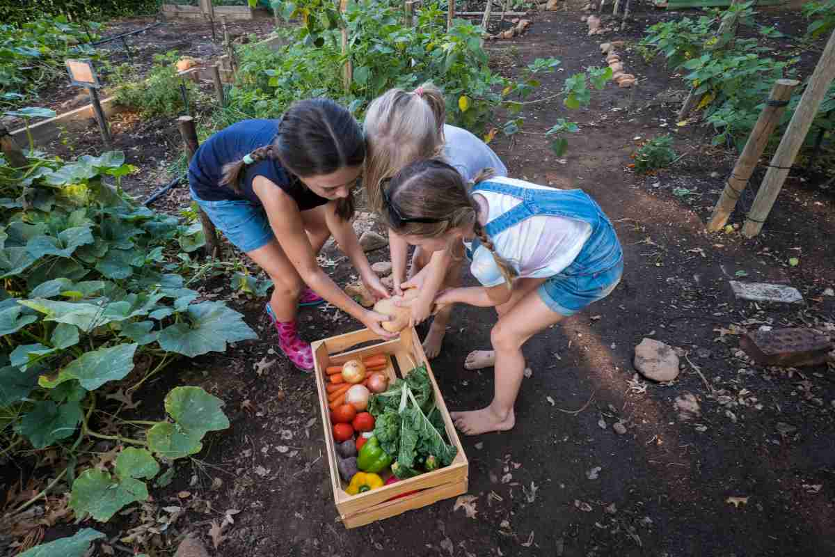 How to Get  Kids to Love Being in the Garden!