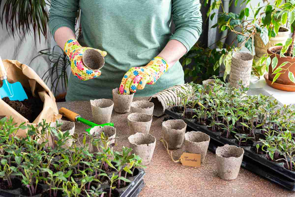 How To Make Your Garden Eco Friendly: The HomeTriangle Guide