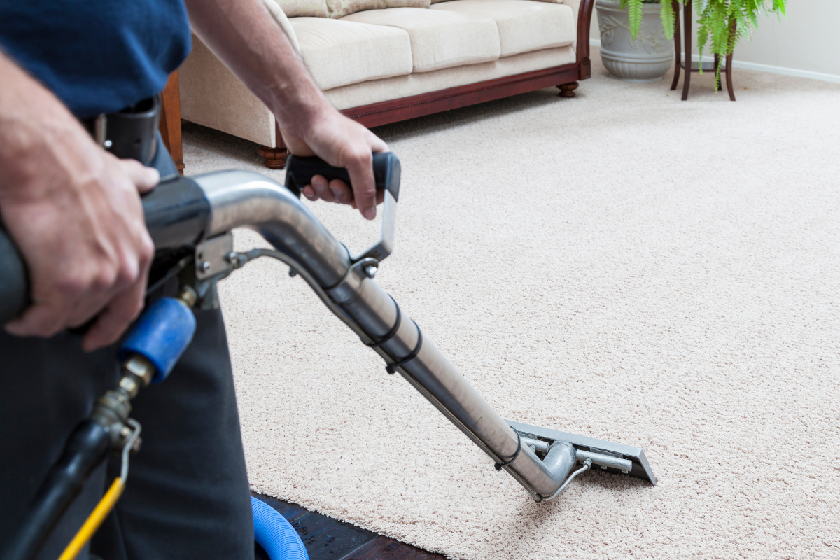 Why You Need A  Pro To clean Your Carpets