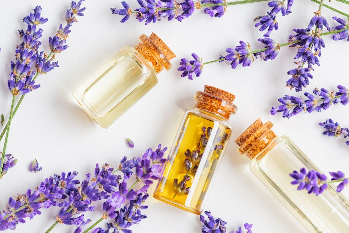 Essential Oil Room Fresheners That also repel insects!