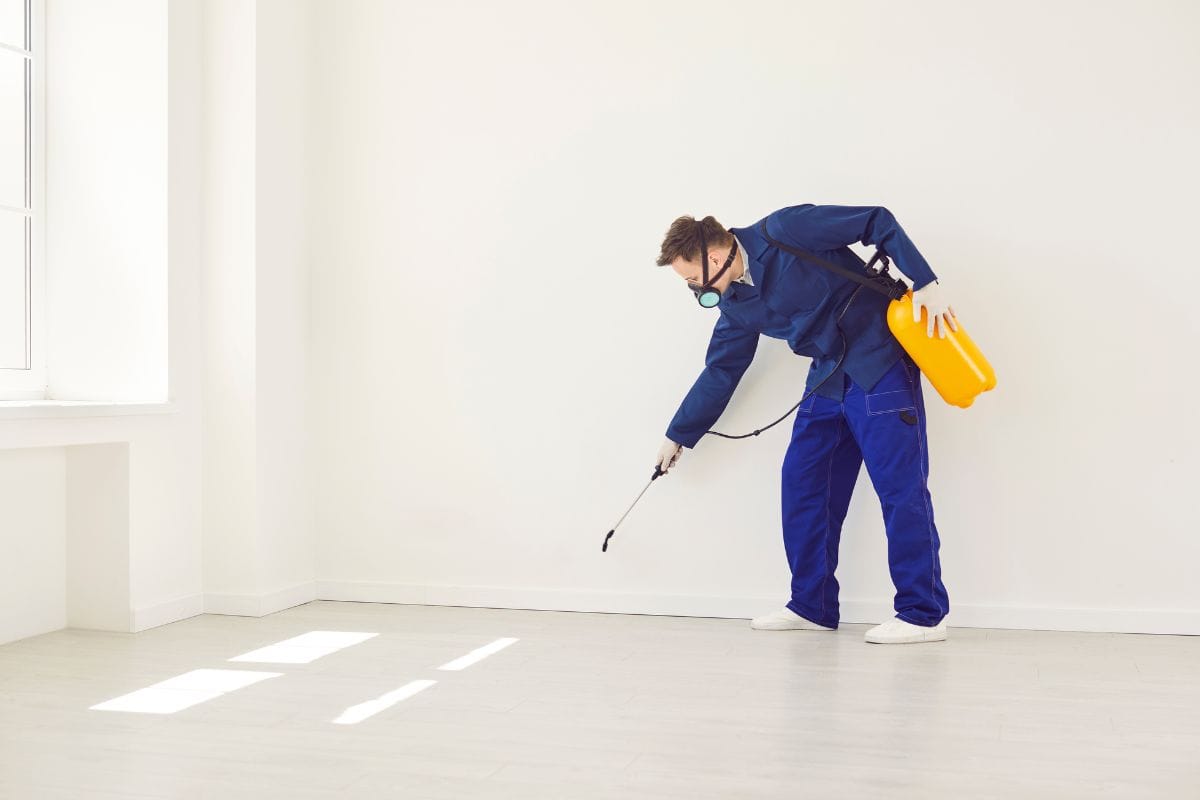 Hiring Pest Control? Here are some things to consider