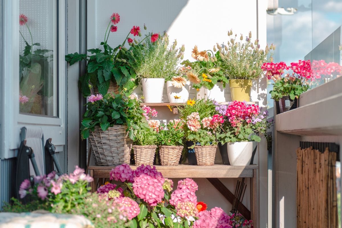 7 Tips for Creating a Beautiful Garden on Your Balcony