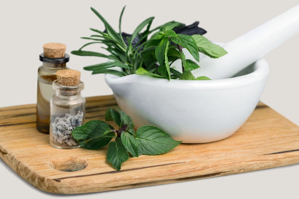 Grow Medicinal Herbs in Your Kitchen or Patio
