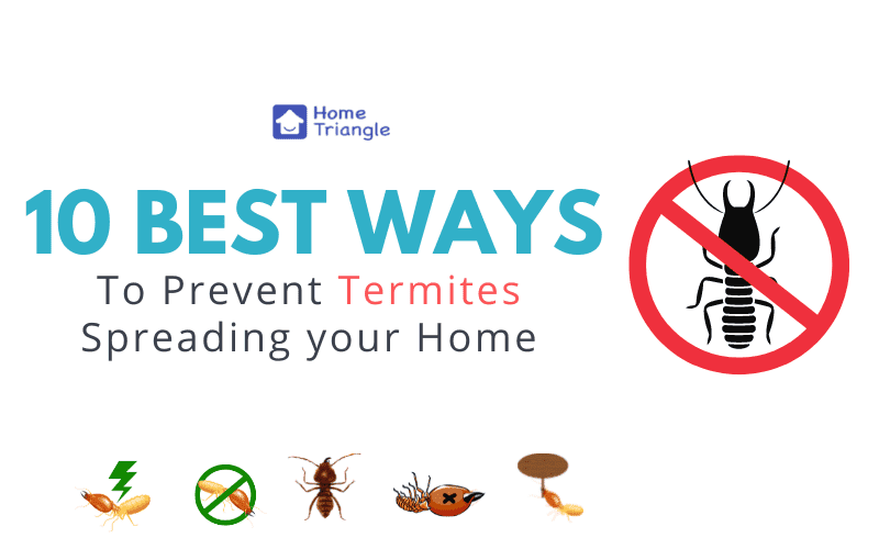 Termite control tips