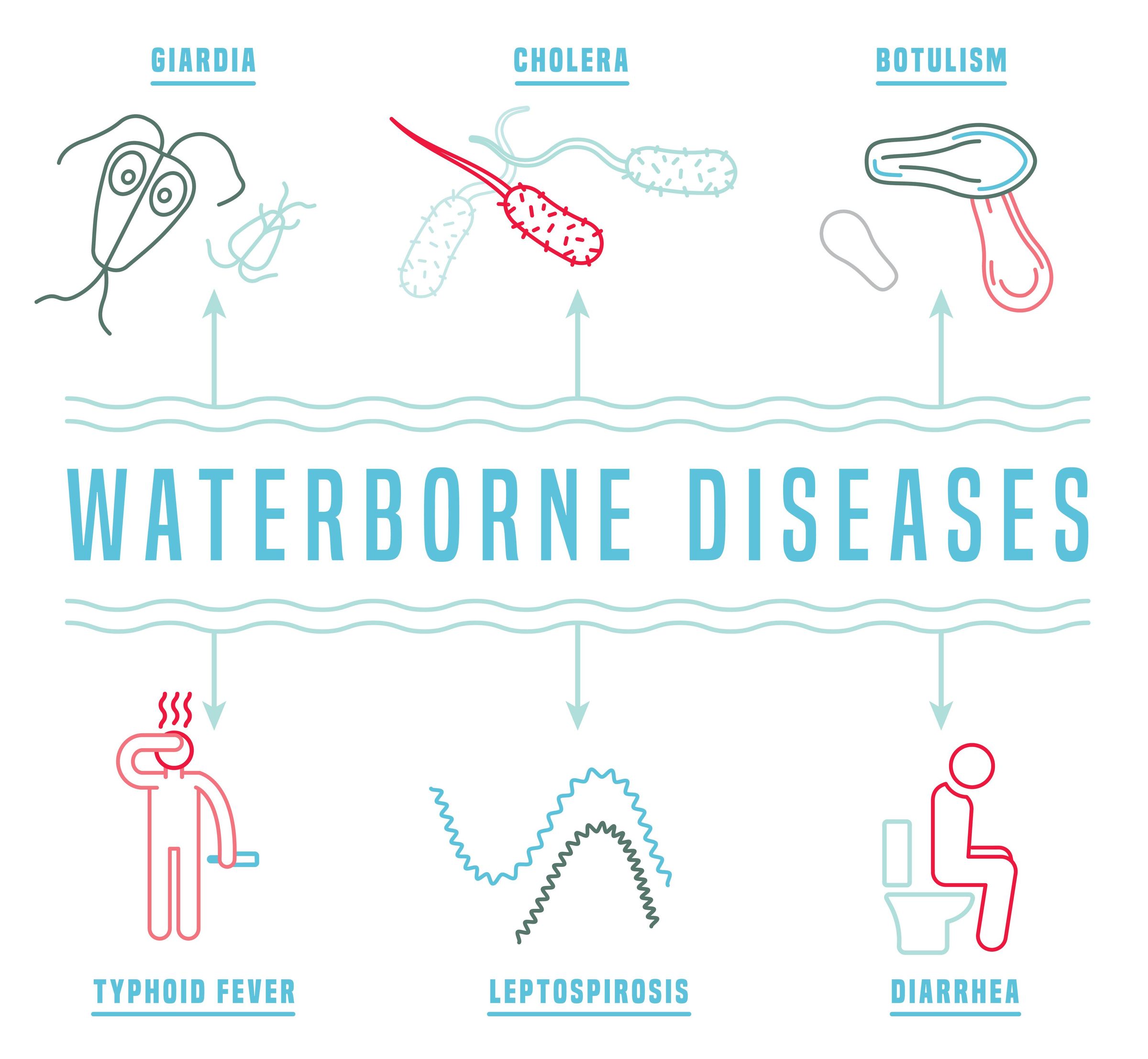 How To Prevent Waterborne Diseases In Your Household 4783