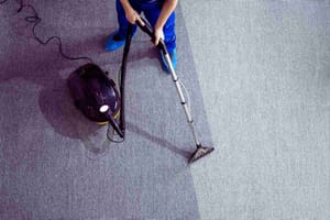 The Importance of Timely Carpet Maintenance to Prevent Mold Growth