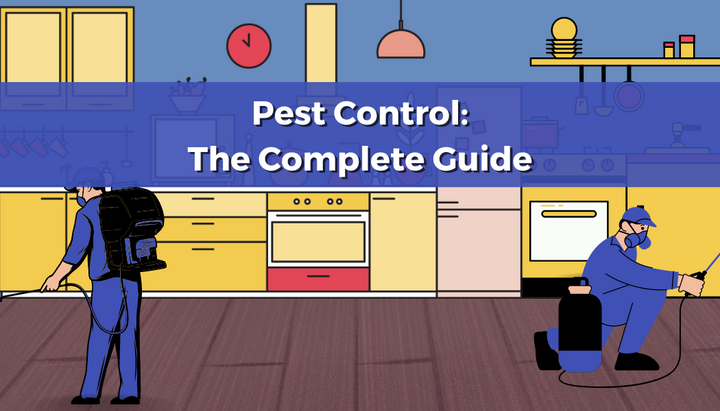 Pest Control: The Complete Guide