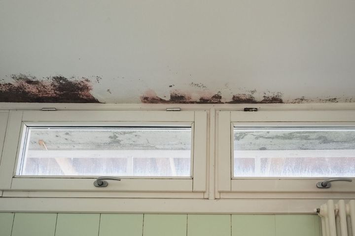 water damage assessment