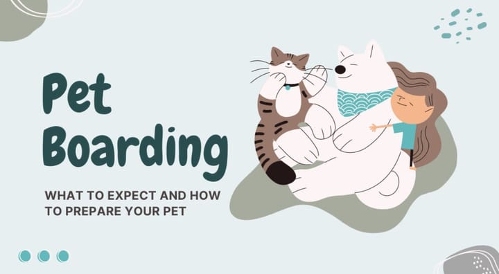 Pet Boarding: What to Expect and How to Prepare Your Pet