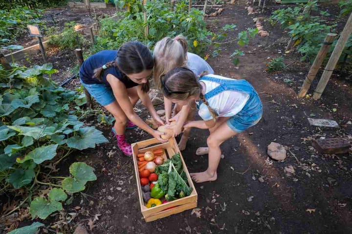 Kids to Love Being in the Garden!