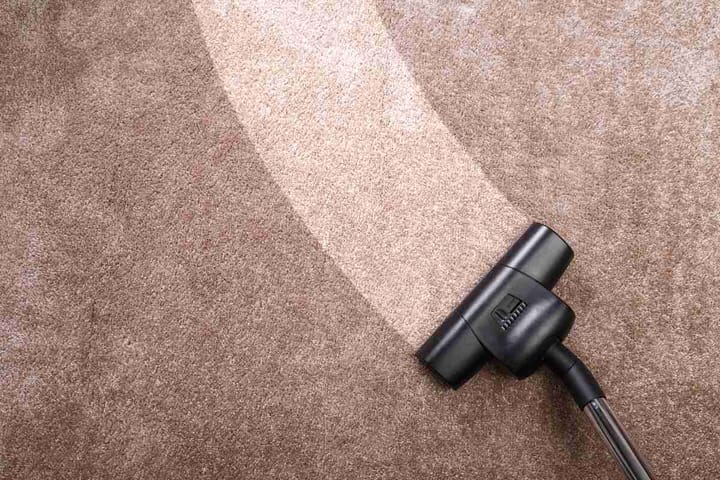 Professional Carpet Cleaner