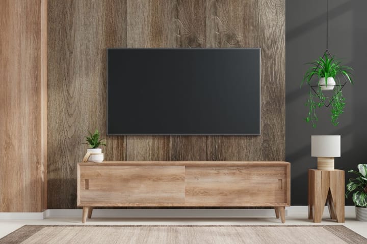  Flat Panel TV