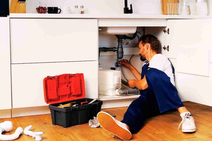 plumbing professional