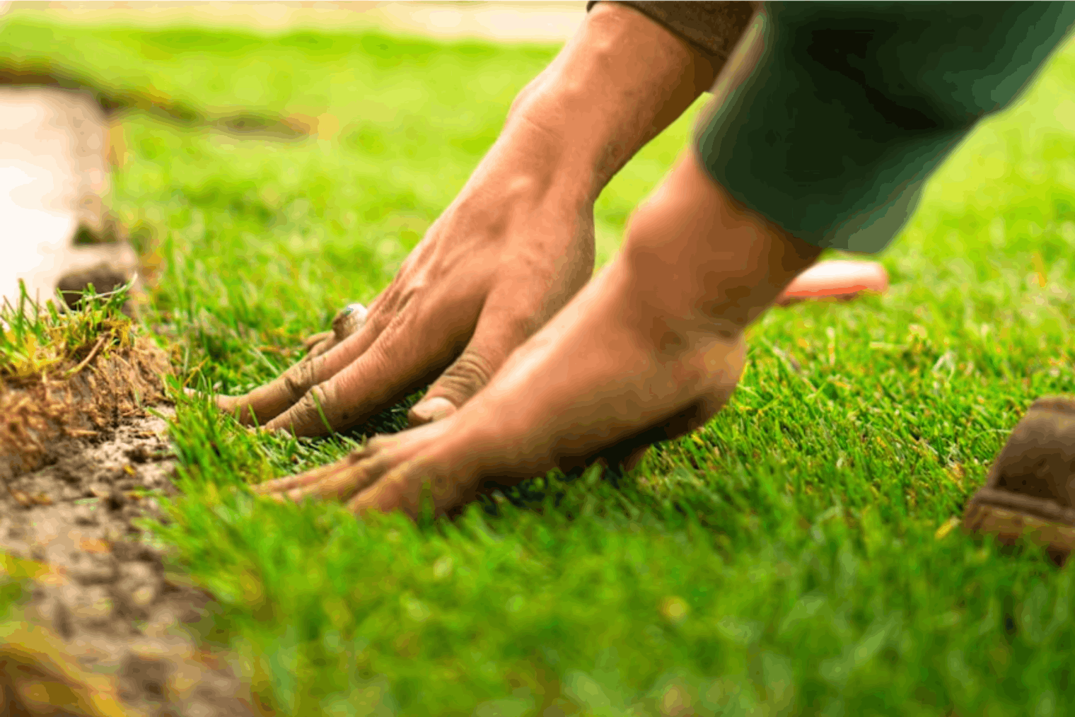 5 Signs Your Lawn Needs Sod and Proper Soil Prep